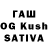 Галлюциногенные грибы Psilocybine cubensis Kara Steel