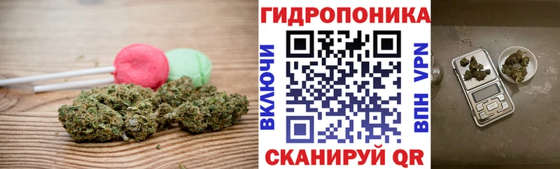 Canna-Cookies марихуана  mega   Балаково 