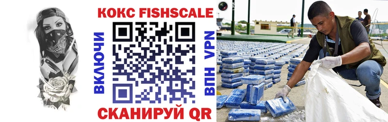 как найти наркотики  Балаково  Cocaine Fish Scale 
