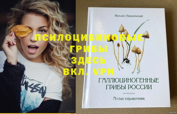 эйфоретик Вязьма