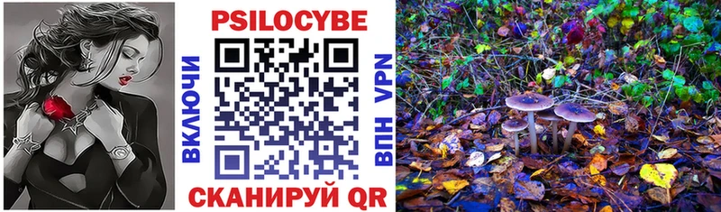 купить   Балаково  Галлюциногенные грибы прущие грибы 